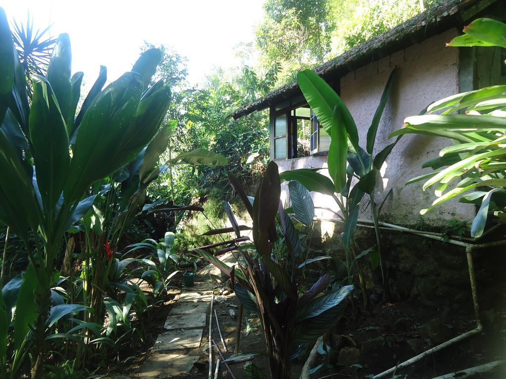 Sitio Green Hostel Vila do Abraao Bilik gambar